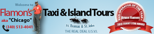 THE REAL DEAL UNITED STATES VIRGIN ISLANDS - Flamon's Taxi &  Island Tours